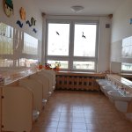 phoca_thumb_m_zajci 10 Fotogalerie